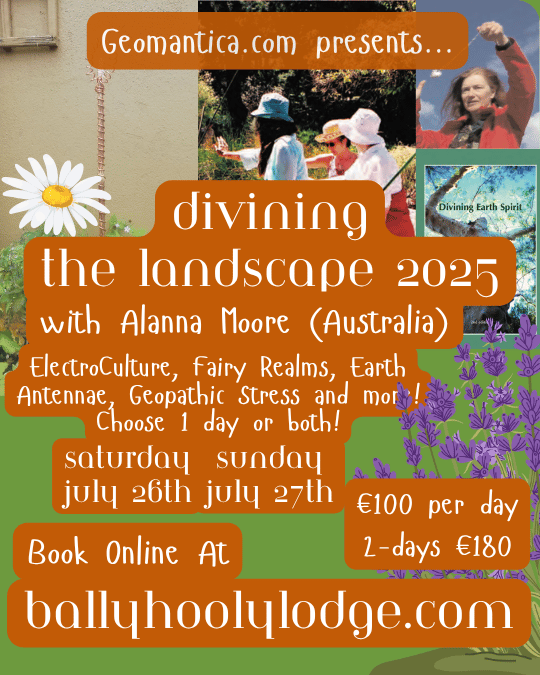divining the landscape(2)